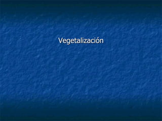 Vegetalización 