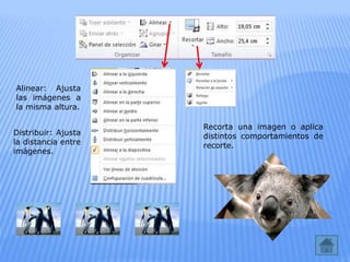Alinear: Ajusta
las imágenes a
la misma altura.
Distribuir: Ajusta
la distancia entre
imágenes.
Recorta una imagen o aplica
distintos comportamientos de
recorte.
 