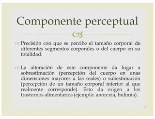 –
™ Precisión con que se percibe el tamaño corporal de
diferentes segmentos corporales o del cuerpo en su
totalidad.
™ La alteración de este componente da lugar a
sobrestimación (percepción del cuerpo en unas
dimensiones mayores a las reales) o subestimación
(percepción de un tamaño corporal inferior al que
realmente corresponde). Esto da origen a los
trastornos alimentarios (ejemplo: anorexia, bulimia).
Componente perceptual
7
 