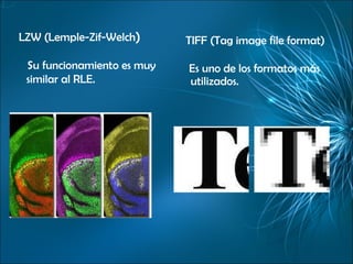 LZW (Lemple-Zif-Welch ) Su funcionamiento es muy similar al RLE. TIFF (Tag image file format) Es uno de los formatos más utilizados. 