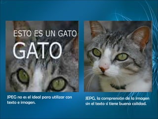 JPEG no es el ideal para utilizar con texto e imagen. JEPG, la comprensión de la imagen sin el texto sí tiene buena calidad. 