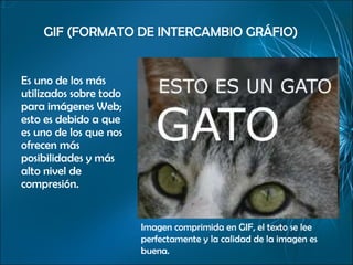 GIF (FORMATO DE INTERCAMBIO GRÁFIO) Es uno de los más utilizados sobre todo para imágenes Web; esto es debido a que es uno de los que nos ofrecen más posibilidades y más alto nivel de compresión. Imagen comprimida en GIF, el texto se lee perfectamente y la calidad de la imagen es buena. 