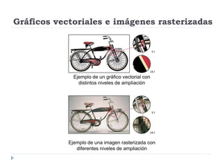 Gráficos vectoriales e imágenes rasterizadas




              Ejemplo de un gráfico vectorial con
                distintos niveles de ampliación




            Ejemplo de una imagen rasterizada con
               diferentes niveles de ampliación
 