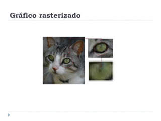 Gráfico rasterizado
 