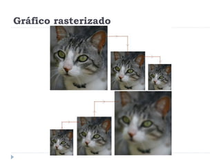 Gráfico rasterizado
 