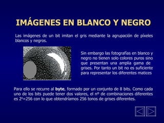 Las imágenes de un bit imitan el gris mediante la agrupación de píxeles blancos y negros.  Sin embargo las fotografías en blanco y  negro no tienen solo colores puros sino  que presentan una amplia gama de  grises. Por tanto un bit no es suficiente  para representar los diferentes matices Para ello se recurre al  byte , formado por un conjunto de 8 bits. Como cada uno de los bits puede tener dos valores, el nº de combinaciones diferentes es 2 8 =256 con lo que obtendríamos 256 tonos de grises diferentes.  IMÁGENES EN BLANCO Y NEGRO 