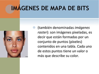 IMÁGENES DE MAPA DE BITS   (también denominadas  imágenes raster ): son imágenes pixeladas, es decir que están formadas por un conjunto de puntos (píxeles) contenidos en una tabla. Cada uno de estos puntos tiene un valor o más que describe su color. 