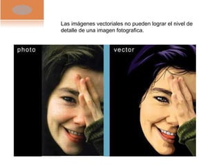 Las imágenes vectoriales no pueden lograr el nivel de detalle de una imagen fotografica. 