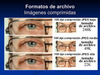 Formatos de archivo Imágenes comprimidas 