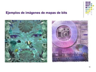 Ejemplos de imágenes de mapas de bits




                                        18
 
