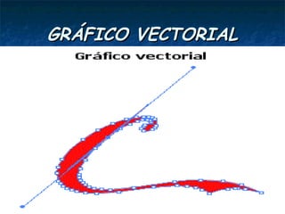 GRÁFICO VECTORIAL
 