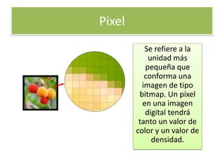 Pixel
           Se refiere a la
            unidad más
           pequeña que
           conforma una
          imagen de tipo
         bitmap. Un píxel
          en una imagen
           digital tendrá
         tanto un valor de
        color y un valor de
             densidad.
 