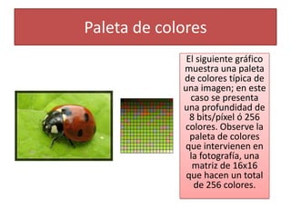 Paleta de colores
              El siguiente gráfico
             muestra una paleta
             de colores típica de
             una imagen; en este
               caso se presenta
             una profundidad de
               8 bits/píxel ó 256
             colores. Observe la
               paleta de colores
             que intervienen en
               la fotografía, una
                matriz de 16x16
              que hacen un total
                de 256 colores.
 