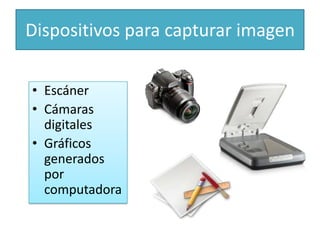 Dispositivos para capturar imagen

• Escáner
• Cámaras
  digitales
• Gráficos
  generados
  por
  computadora
 