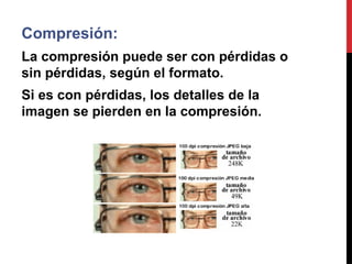 Compresión:
La compresión puede ser con pérdidas o
sin pérdidas, según el formato.
Si es con pérdidas, los detalles de la
imagen se pierden en la compresión.
 