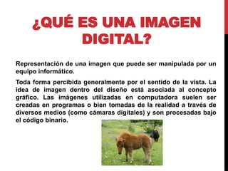 ¿QUÉ ES UNA IMAGEN
DIGITAL?
Representación de una imagen que puede ser manipulada por un
equipo informático.
Toda forma percibida generalmente por el sentido de la vista. La
idea de imagen dentro del diseño está asociada al concepto
gráfico. Las imágenes utilizadas en computadora suelen ser
creadas en programas o bien tomadas de la realidad a través de
diversos medios (como cámaras digitales) y son procesadas bajo
el código binario.
 