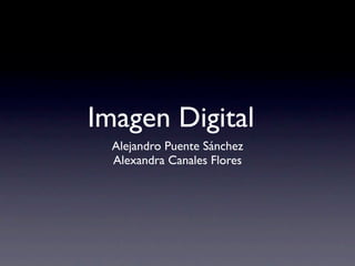 Imagen Digital
  Alejandro Puente Sánchez
  Alexandra Canales Flores
 