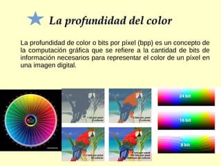 La profundidad del colorLa profundidad del color
La profundidad de color o bits por píxel (bpp) es un concepto de
la computación gráfica que se refiere a la cantidad de bits de
información necesarios para representar el color de un píxel en
una imagen digital.
 