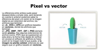 Imagen digital pixel vs vector | PPTX | Photo Editing Software ...