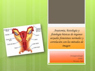 Anatomía, histología y
fisiología básicas de órganos
sexuales femeninos normales y
correlación con los métodos de
imagen
Imagenología
UABC
Grupo: 364
 