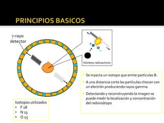 …Contd




    -ray0
  detector
                               +
                                      -
                           Núcleos radioactivos


                           • Se inyecta un isotopo que emite partículas B.
                           • A una distancia corta las partículas chocan con
                             un electrón produciendo rayos gamma.
                           • Detectando y reconstruyendo la imagen se
                             puede medir la localización y concentración
     Isotopos utilizados     del radioisótopo
     • F 18
     • N 13
     • O 15
 