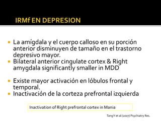 La amígdala y el cuerpo calloso en su porción
  anterior disminuyen de tamaño en el trastorno
  depresivo mayor.
 Bilateral anterior cingulate cortex & Right
  amygdala significantly smaller in MDD
   Existe mayor activación en lóbulos frontal y
    temporal.
   Inactivación de la corteza prefrontal izquierda
          Inactivation of Right prefrontal cortex in Mania
                                                     Tang Y et al (2007) Psychiatry Res.
 