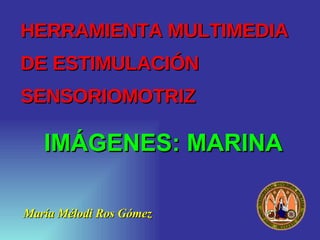 HERRAMIENTA MULTIMEDIA  DE ESTIMULACIÓN SENSORIOMOTRIZ ,[object Object],IMÁGENES: MARINA 