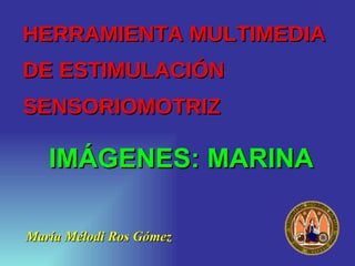 HERRAMIENTA MULTIMEDIA  DE ESTIMULACIÓN SENSORIOMOTRIZ ,[object Object],IMÁGENES: MARINA 