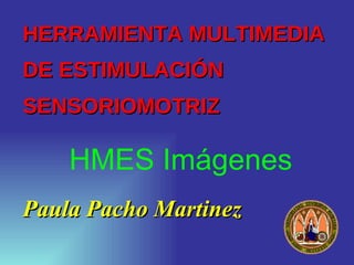 HERRAMIENTA MULTIMEDIA  DE ESTIMULACIÓN SENSORIOMOTRIZ ,[object Object],HMES Imágenes 