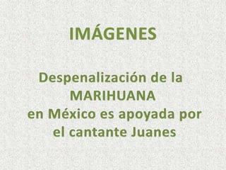 IMÁGENES  Despenalización de la  MARIHUANA  en México es apoyada por  el cantante Juanes 