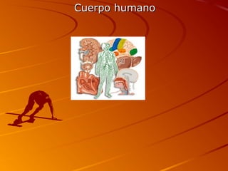 Cuerpo humanoCuerpo humano
 