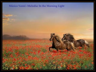 Música Yanni –Melodía: In the Morning Light 