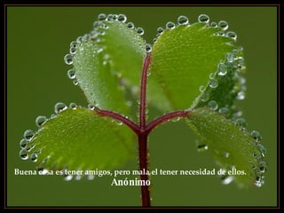 Buena cosa es tener amigos, pero mala el tener necesidad de ellos.   Anónimo 