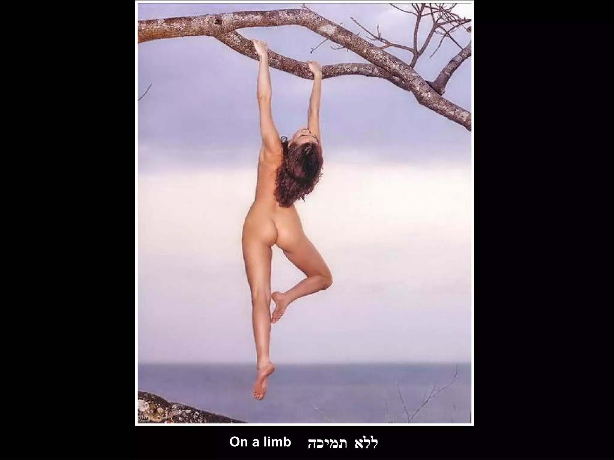 ללא תמיכה On a limb 
