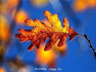 תלוי בשערה On a string 