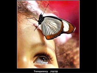 שקיפות Transparency 