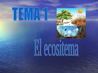 El ecositema TEMA 1 