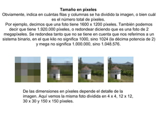 Tamaño en píxeles
Obviamente, indica en cuántas filas y columnas se ha dividido la imagen, o bien cuál
es el número total de píxeles.
Por ejemplo, decimos que una foto tiene 1600 x 1200 píxeles. También podemos
decir que tiene 1.920.000 píxeles, o redondear diciendo que es una foto de 2
megapíxeles. Se redondea tanto que no se tiene en cuenta que nos referimos a un
sistema binario, en el que kilo no significa 1000, sino 1024 (la décima potencia de 2)
y mega no significa 1.000.000, sino 1.048.576.

De las dimensiones en píxeles depende el detalle de la
imagen. Aquí vemos la misma foto dividida en 4 x 4, 12 x 12,
30 x 30 y 150 x 150 píxeles.

 