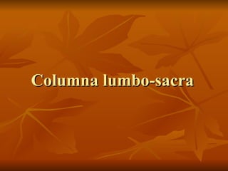Columna lumbo-sacra 