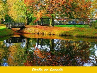 Otoño en Canadá 