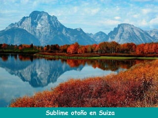 Sublime otoño en Suiza 