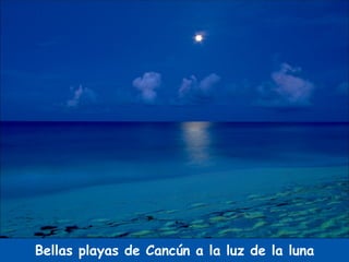 Bellas playas de Cancún a la luz de la luna 
