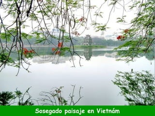 Sosegado paisaje en Vietnám 