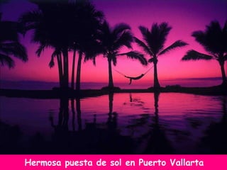 Hermosa puesta de sol en Puerto Vallarta 