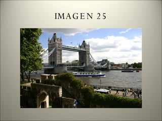 IMAGEN 25