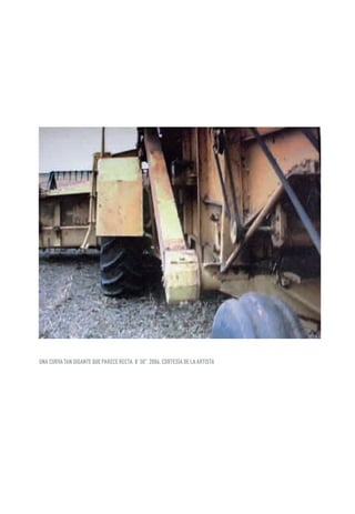 UNA CURVA TAN GIGANTE QUE PARECE RECTA. 8’ 50”. 2006. CORTESíA DE LA ARTISTA
 