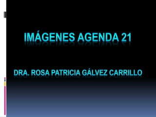 Imagenes agenda 21  sesion 9