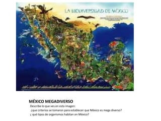 MÉXICO MEGADIVERSO Describe lo que ves en esta imagen:  ¿que criterios se tomaron para establecer que México es mega diverso? ¿ qué tipos de organismos habitan en México? 
