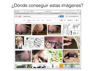 ¿Dónde conseguir estas imágenes? 
 
