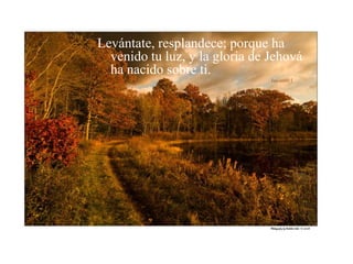 Levántate, resplandece; porque ha venido tu luz, y la gloria de Jehová ha nacido sobre ti.                                                                                                                                 Isaías60:1 